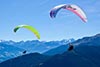 Para gliding in Gerlos in the Zillertal valley - (c) Florian Schneider Zillertal Tourismus GmbH